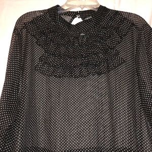 Sheer Polka Dot Dress with Ruffles